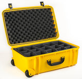 Seahorse 920 Protective Case