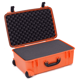 Seahorse 920 Protective Case